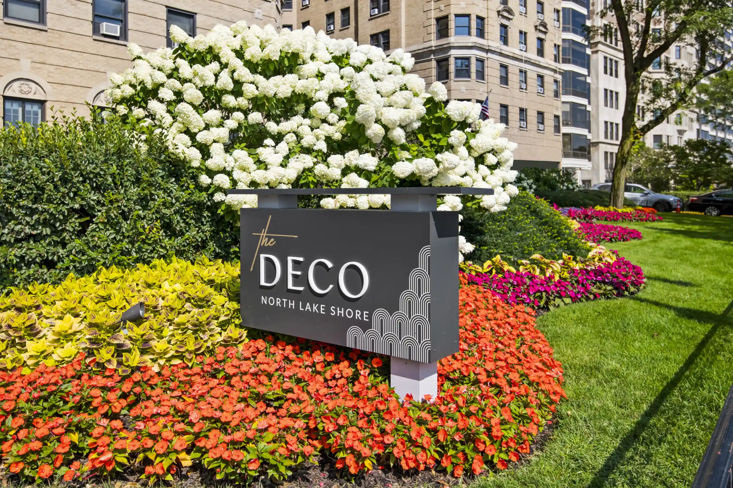 dsc 8056